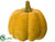 Pumpkin - Butter Scotch - Pack of 12