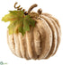 Silk Plants Direct Velvet Pumpkin - Beige - Pack of 6