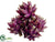 Artichoke - Burgundy - Pack of 6