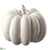 Pumpkin - Cream White - Pack of 6