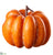 Pumpkin - Orange - Pack of 6