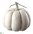 Pumpkin - Cream White - Pack of 4