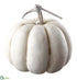 Silk Plants Direct Pumpkin - Cream White - Pack of 4