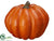 Pumpkin - Terra Cotta - Pack of 12