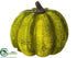 Silk Plants Direct Pumpkin - Green Two Tone - Pack of 12