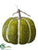 Pumpkin - Green Whitewashed - Pack of 2