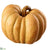 Pumpkin - Orange - Pack of 2