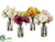 Rose - Assorted - Pack of 4