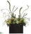 Cymbidium Orchid, Protea, Allium - Green - Pack of 1