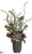 Protea, Sedum, Echeveria - Green Burgundy - Pack of 1
