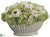 Ranunculus, Daisy, Hydrangea - Green Cream - Pack of 1