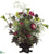 Protea, Daisy, Ranunculus - Green Burgundy - Pack of 1