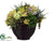 Cymbidium Orchid, Protea, Hydrangea - Green Burgundy - Pack of 1