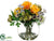Rose, Daisy - Yellow Green - Pack of 1