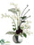 Caesar, Hen and Chick, Fern - Cream - Pack of 1