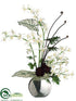 Silk Plants Direct Caesar, Hen and Chick, Fern - Cream - Pack of 1