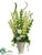 Bells of Ireland, Snowball, Hops - Green Cream - Pack of 1