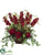 Flower, Ranunculus, Ivy - Burgundy Green - Pack of 1
