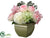 Hydrangea, Rose - Rose Green - Pack of 6