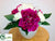 Peony, Ranunculus - Cream Fuchsia - Pack of 6