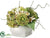 Sunflower, Hydrangea, Cymbidium Orchid - Green Cream - Pack of 1