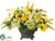 Freesia, Cosmos, Dahlia - Yellow Green - Pack of 1