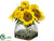 Sunflower - Yellow - Pack of 1