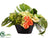 Anthurium, Rose, Hydrangea - Green Orange - Pack of 1
