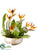 Bird of Paradise and Protea - Orange Green - Pack of 1