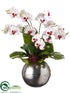 Silk Plants Direct Bird's Nest Leaf, Phalaenopsis Orchid - White Orchid - Pack of 1