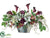 Calla Lily, Rose, Hydrangea, Helleborus - Eggplant Green - Pack of 1