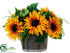 Silk Plants Direct Sunflower, Fern, Daisy - Yellow - Pack of 1