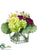 Dahlia, Ranunculus - Burgundy Green - Pack of 1