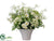 Narcissus, Queen Anne's Lace, Gypsophila - Cream White - Pack of 1