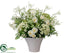Silk Plants Direct Narcissus, Queen Anne's Lace, Gypsophila - Cream White - Pack of 1
