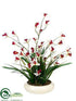 Silk Plants Direct Cymbidium Orchid, Grass - Cream Burgundy - Pack of 1