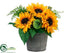 Silk Plants Direct Sunflower, Fern, Daisy - Yellow - Pack of 6