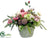 Hydrangea, Ranunculus, Rose - Cream Orchid - Pack of 1