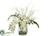 Silk Plants Direct Phalaenopsis Orchid, Dendrobium Orchid - Cream - Pack of 1