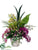 Phalaenopsis Orchid, Cymbidium Orchid, Oncidium Orchid - Orchid Green - Pack of 1