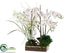 Silk Plants Direct Phalaenopsis Orchid, Cymbidium Orchid, Dendrobium - Cream White - Pack of 1