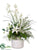 Cymbidium Orchid, Dendrobium, Casablanca Lily - White Green - Pack of 1