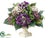 Hydrangea, Heather, Berry - Purple Lavender - Pack of 1