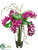 Phalaenopsis Orchid - Violet - Pack of 1