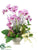 Phalaenopsis Orchid, Dendrobium, Hydrangea - Orchid Green - Pack of 1
