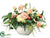 Hydrangea, Rose, Apple - Salmon Cream - Pack of 1