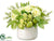 Ranunculus, Rose, Hydrangea, Apple - Green White - Pack of 1