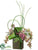 Phalaenopsis Orchid, Bird Nest Fern, Bamboo - Orchid Green - Pack of 1
