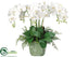 Silk Plants Direct Phalaenopsis Orchid, Lace Fern - White Green - Pack of 1