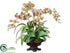 Silk Plants Direct Phalaenopsis Orchid, Boston Fern, Moss - Burgundy Green - Pack of 1